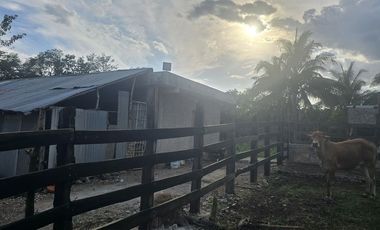 ¡Excelente Rancho en venta! Tizimin, Yucatán.