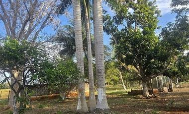 ¡Excelente Rancho en venta! Tizimin, Yucatán.