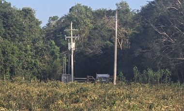 ¡Excelente Rancho en venta! Tizimin, Yucatán.