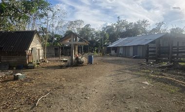 ¡Excelente Rancho en venta! Tizimin, Yucatán.