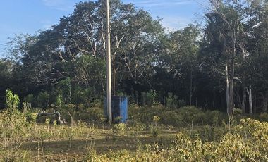 ¡Excelente Rancho en venta! Tizimin, Yucatán.