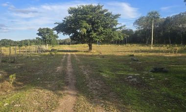 ¡Excelente Rancho en venta! Tizimin, Yucatán.