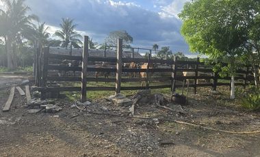 ¡Excelente Rancho en venta! Tizimin, Yucatán.