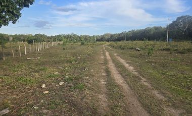 ¡Excelente Rancho en venta! Tizimin, Yucatán.