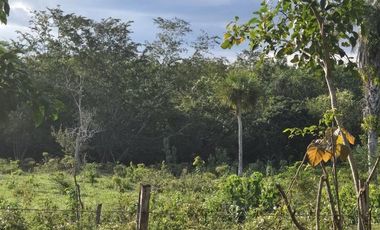 ¡Excelente Rancho en venta! Tizimin, Yucatán.