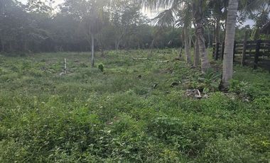 ¡Excelente Rancho en venta! Tizimin, Yucatán.