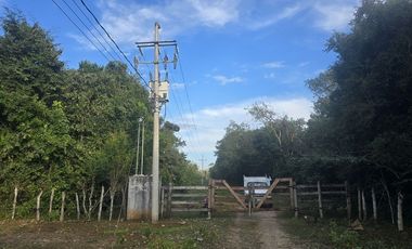 ¡Excelente Rancho en venta! Tizimin, Yucatán.