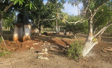 ¡Excelente Rancho en venta! Tizimin, Yucatán.
