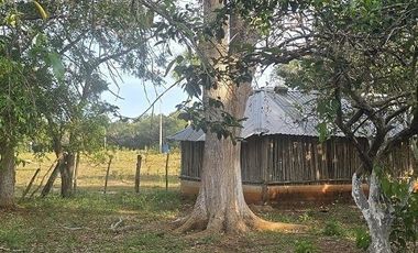 ¡Excelente Rancho en venta! Tizimin, Yucatán.