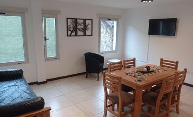 Alquiler Depto 1 dorm c/cochera, San Martín de Los Andes centro