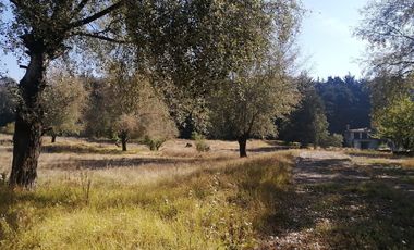 FRACCION DE RANCHO , ENTREGA INMEDIATA VENTA,  OCOYOACAC, ESTADO DE MEXICO