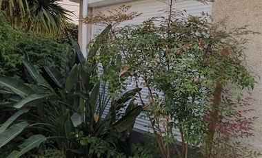 Casa en Arriendo en 4 Norte, Viña del Mar