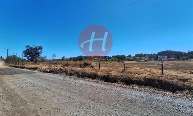 Sitio en Venta en Camino Botrolhue