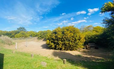 Casa en venta - 3 Dormitorios 2 Baños - 1.300Mts2 - Pinamar