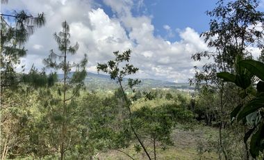 Venta Lote Inmerso en Bosque Parcelacion Alto Palmas