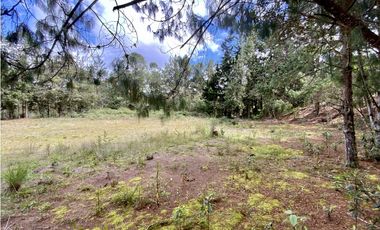 Venta Lote Inmerso en Bosque Parcelacion Alto Palmas