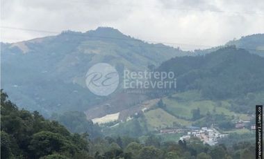 Arriendo Apartamento Sector Expoferias , Manizales