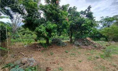 Venta de Lote en La Mesa Cundi