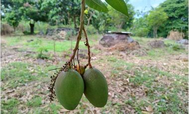 Venta de Lote en La Mesa Cundi