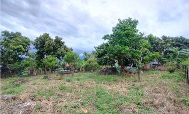 Venta de Lote en La Mesa Cundi