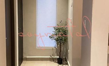 CASA EN RENTA por dominio y porto cumbres NOVELIA RESIDENCIAL GARCIA