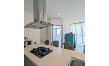 ARRIENDO AMOBLADO EXCLUSIVO, 1 ALCOBA, VILLA SANTOS