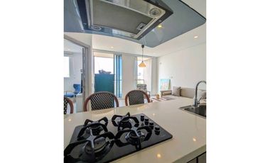 ARRIENDO AMOBLADO EXCLUSIVO, 1 ALCOBA, VILLA SANTOS