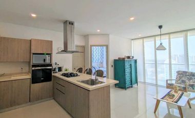 ARRIENDO AMOBLADO EXCLUSIVO, 1 ALCOBA, VILLA SANTOS