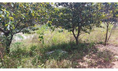 VENTA DE LOTE 1005.88 m2 CON CASA PEQUEÑA EN PENONOMÉ COCLÉ