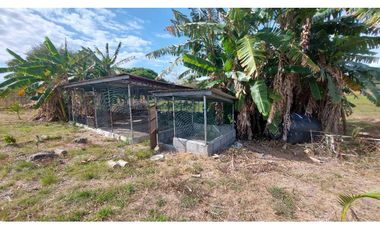 VENTA TERRENO EN AGUAS BLANCAS PENONOMÉ