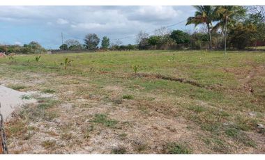 VENTA TERRENO EN AGUAS BLANCAS PENONOMÉ