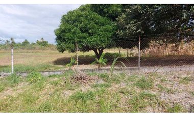 VENTA TERRENO EN AGUAS BLANCAS PENONOMÉ