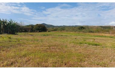 VENTA TERRENO EN AGUAS BLANCAS PENONOMÉ