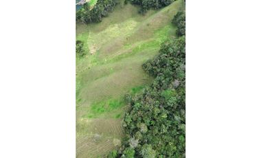 SE VENDE FINCA GANADERA PRODUCTIVA  EN LA CEJA 14 HECTREAS VDA SAN GE