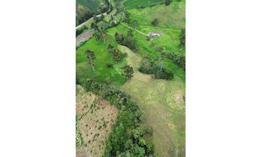 SE VENDE FINCA GANADERA PRODUCTIVA  EN LA CEJA 14 HECTREAS VDA SAN GE