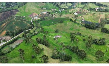 SE VENDE FINCA GANADERA PRODUCTIVA  EN LA CEJA 14 HECTREAS VDA SAN GE