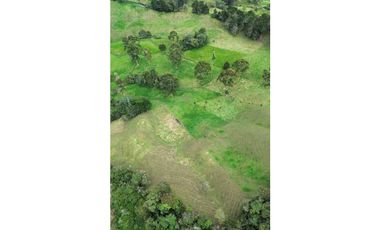 SE VENDE FINCA GANADERA PRODUCTIVA  EN LA CEJA 14 HECTREAS VDA SAN GE