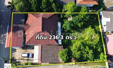 Land for sale in Wiang, Chiang Rai