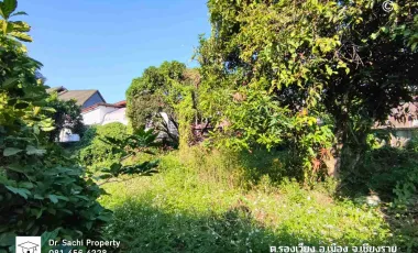 Land for sale in Wiang, Chiang Rai