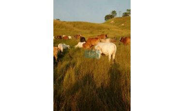 Finca 100% hecha muy cerca a Puerto Berrio junto a Ruta del Sol