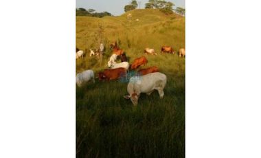 Finca 100% hecha muy cerca a Puerto Berrio junto a Ruta del Sol