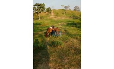 Finca 100% hecha muy cerca a Puerto Berrio junto a Ruta del Sol