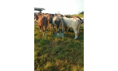 Finca 100% hecha muy cerca a Puerto Berrio junto a Ruta del Sol