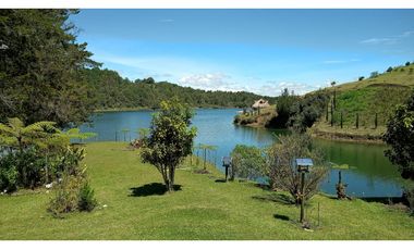 8597052 Venta Finca Guatapé Peñol Antioquia