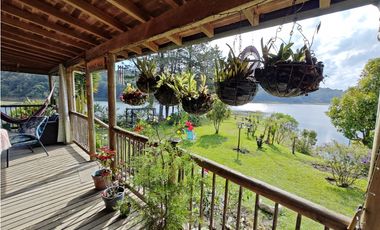 8597052 Venta Finca Guatapé Peñol Antioquia