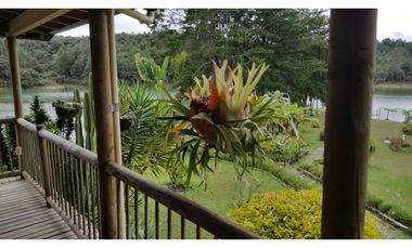 8597052 Venta Finca Guatapé Peñol Antioquia