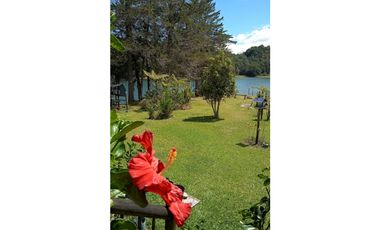 8597052 Venta Finca Guatapé Peñol Antioquia