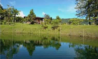 8597052 Venta Finca Guatapé Peñol Antioquia