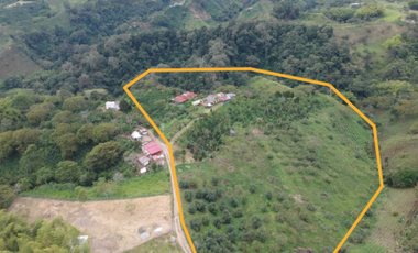 Finca en venta Filandia Quindio 18 Hectareas