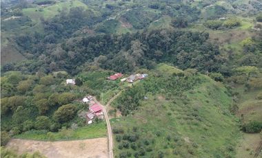 Finca en venta Filandia Quindio 18 Hectareas